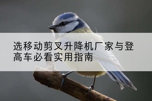 柘荣电动升降机厂家-选移动剪叉升降机厂家与登高车必看实用指南