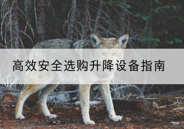 柘荣升降货梯厂家推荐-*安全选购升降设备指南